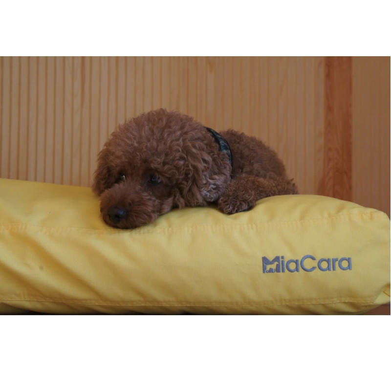 ペット用品・犬専門通販スマイヌ / 【MiaCara】ドッグクッション ルビオＭ